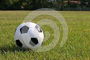 Soccer ball in playng field.