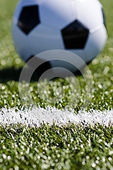 Soccer ball sitting in grass