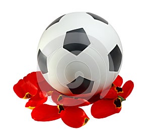 Soccer ball to the red petals