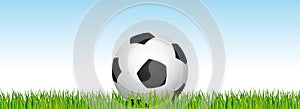 Soccer banner. Football stadium grass and blue sky background. Header with soccer ball in the middle.