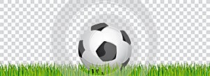 Soccer banner. Football stadium grass and transparent background. Header with soccer ball in the middle.