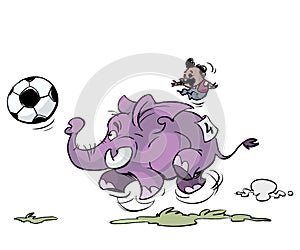 Soccer elephant