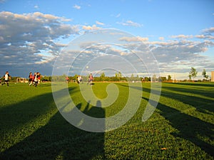 Soccer Fan Shadows