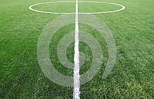 Soccer field grass