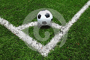 Soccer field grass