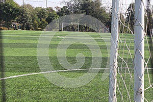 Soccer field with line marking-football field-Behind goal scene of greenfield in a football field with palm trees in the blue sky