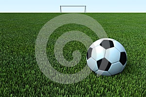 A soccer, a football ball on green grass field