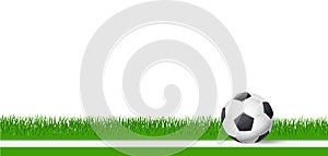 Soccer football ball on green grass over white background