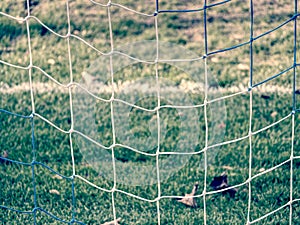 Soccer or football corner lines through safety net