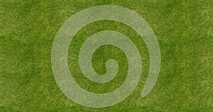 Soccer football field grass background