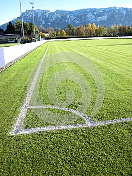 Soccer football field stadium grass