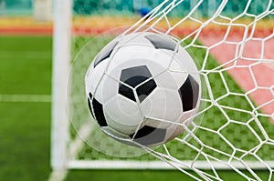 Soccer football in Goal net with green grass field.