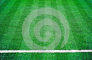 Soccer football grass field