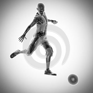 Soccer game player radiography image