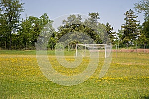 Soccer Goal