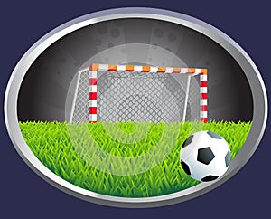 Soccer goal with net.