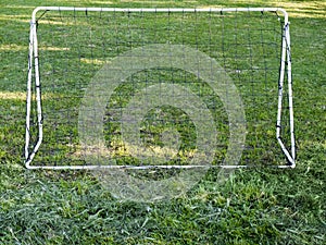 Soccer goal grass