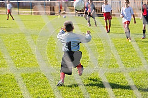 Soccer goalie in action