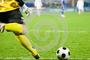 Soccer goalkeeper kick the ball photo