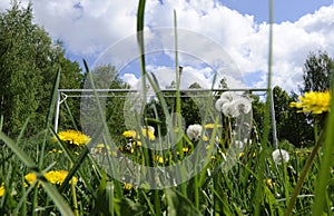 Soccer goalposts