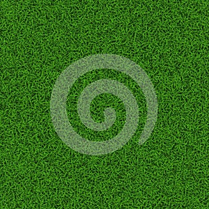 Soccer grass field