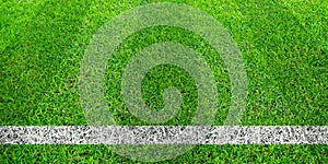 Soccer line in green grass of soccer field. Green lawn field pattern for sport background