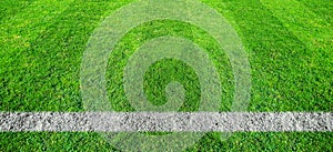 Soccer line in green grass of soccer field. Green lawn field pattern for sport background
