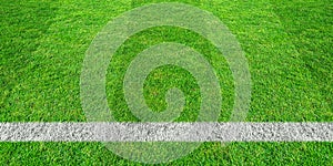 Soccer line in green grass of soccer field. Green lawn field pattern for sport background