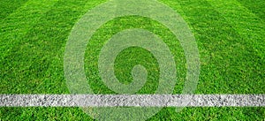 Soccer line in green grass of soccer field. Green lawn field pattern for sport background