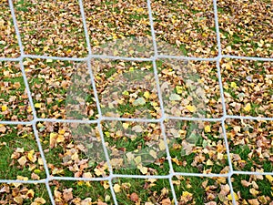Soccer net and green artificial turf covered with fallen leaves