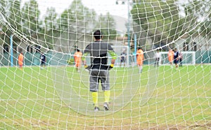 Soccer net on green grass