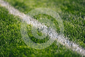 Soccer pitch white line. Grass football field. Close up of sports grass venue