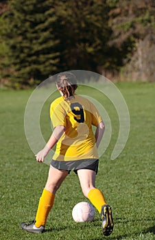 Soccer Player Kicking Ball 5