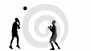 Soccer player silhouette isolated on white background with alpha channel. Male professional football players playing