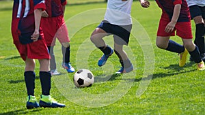 Soccer Players in a Duel on Grass Running After Soccer ball