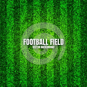 Soccer playing field with green grass. Football pitch background with stripes. Sports ground, stadium with fake or