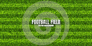 Soccer playing field with green grass. Football pitch background with stripes. Sports ground, stadium with fake or