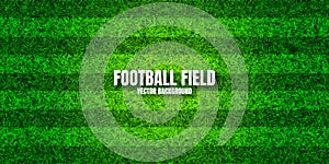 Soccer playing field with green grass. Football pitch background with stripes. Sports ground, stadium with fake or