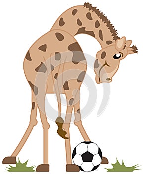 Soccer Playing Giraffe Illustration on White with Clipping Path