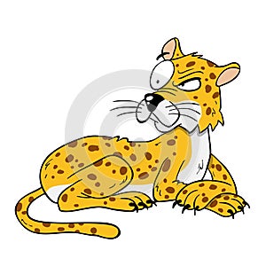 Yellow with brown dots leopard vigilent