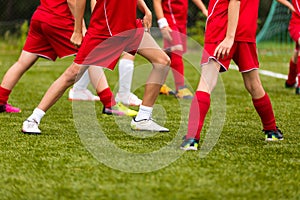 Soccer Training Session for Kids. Young Football Players Stretching Before the Match