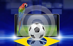 Hra brazílie papoušek 
