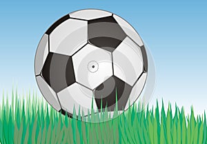 Soccerball on fresh green grass under blue sky