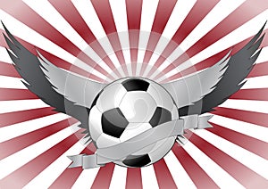 Soccerball wings