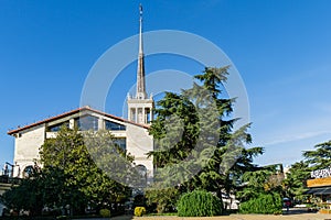 Sochi Commercial Sea Port with spire. Evergreen Magnolia Grandiflora and huge Himalayan ÃÂ¡edar