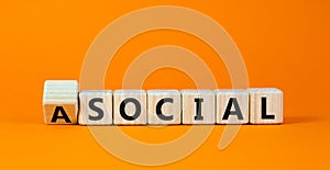 Social or asocial. Fliped wooden cubes and changed the word `asocial` to `social` or vice versa. Beautiful orange background,