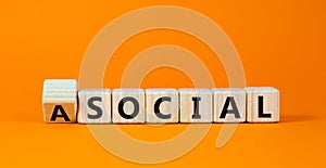 Social or asocial. Fliped wooden cubes and changed the word `asocial` to `social` or vice versa. Beautiful orange background, photo