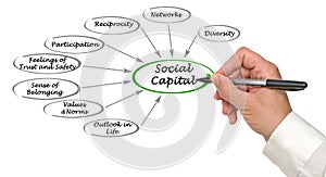 Social Capital photo