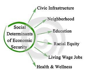 Social Determinants of Economic Security