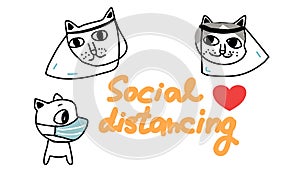 Social distancing cat and dog face mask and face shield cartoon vector